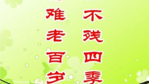 敬老活动宣传标语口号